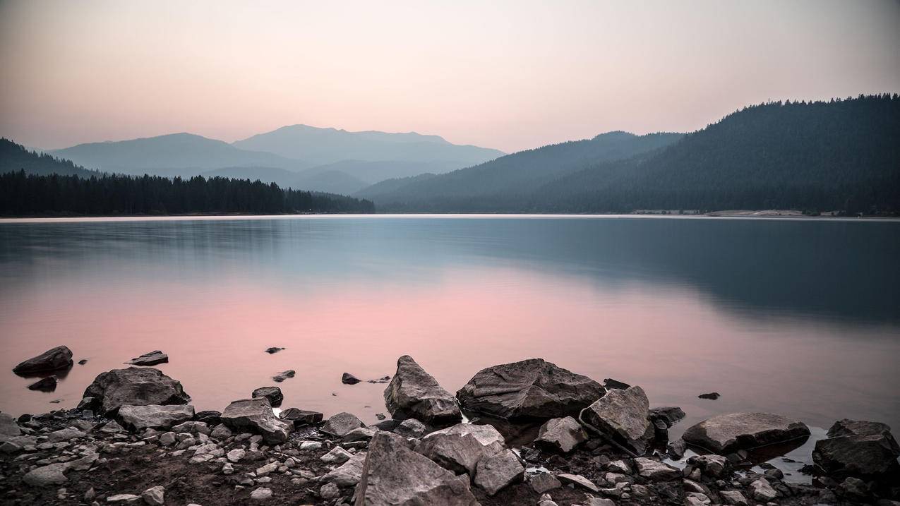网红商城